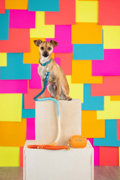 Beau Rope Dog Leash