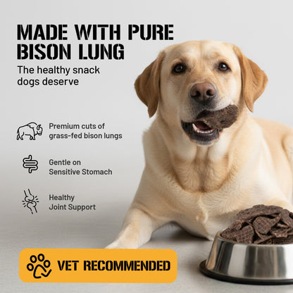 Bison Lung Fillet Treats for Dogs - 10 oz
