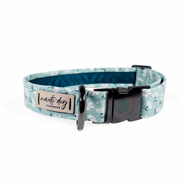 Paperwhite Sea Glass Green Daisy Floral Buckle & Martingale Dog Collar