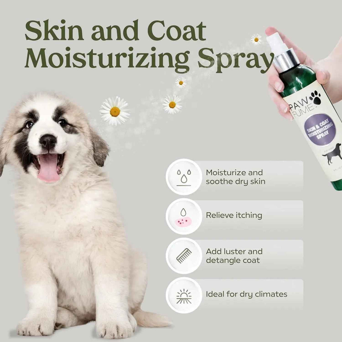 Pawfume Dog Spa Gift Basket 6-Piece Probiotic Deodorizer & Grooming Set