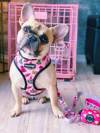 Fairytail Leash Kit