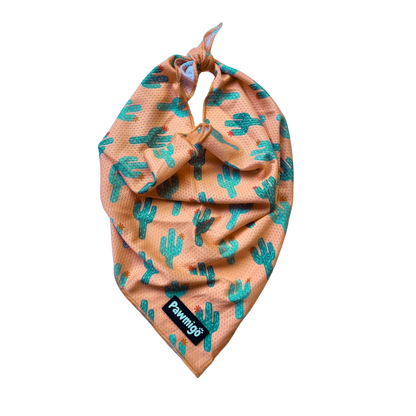 Succa For You Cooling Bandana