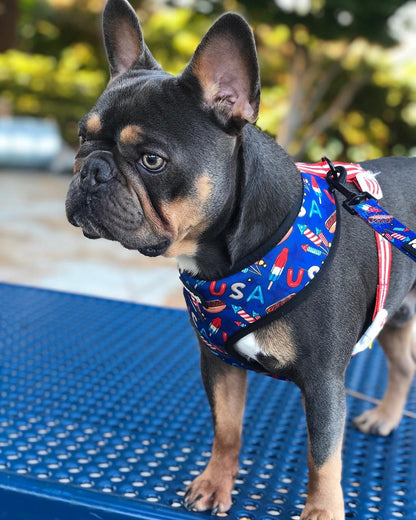 Red, White & Bark Leash Kit