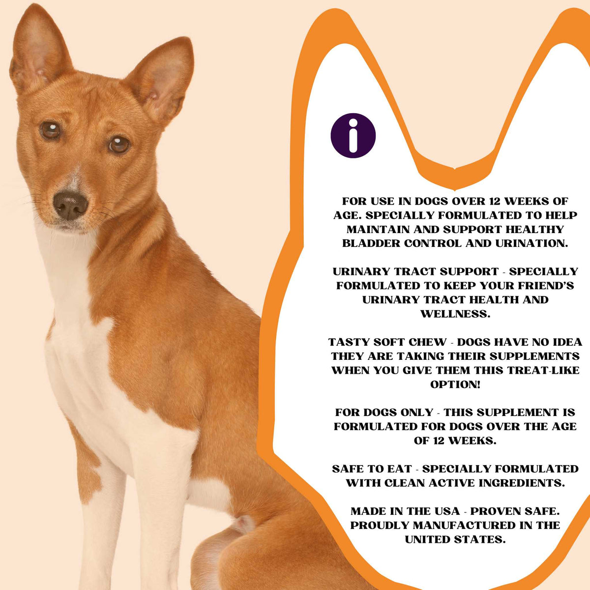 PiccardNaturePets Pee-Well Urinary Bladder Support for Dogs 60ct