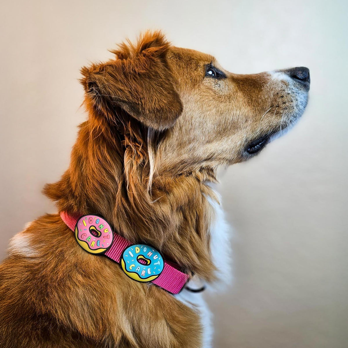 I Donut Care Mint Jiby Dog Charm