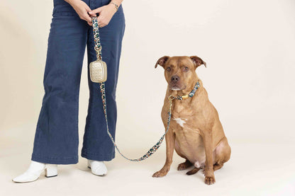 Beckett Dog Leash
