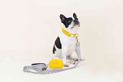 Avery Dog Leash