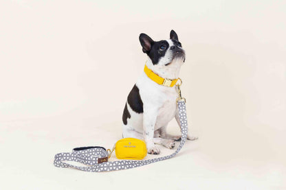 Colie Waste Bag Holder & Treat Pouch