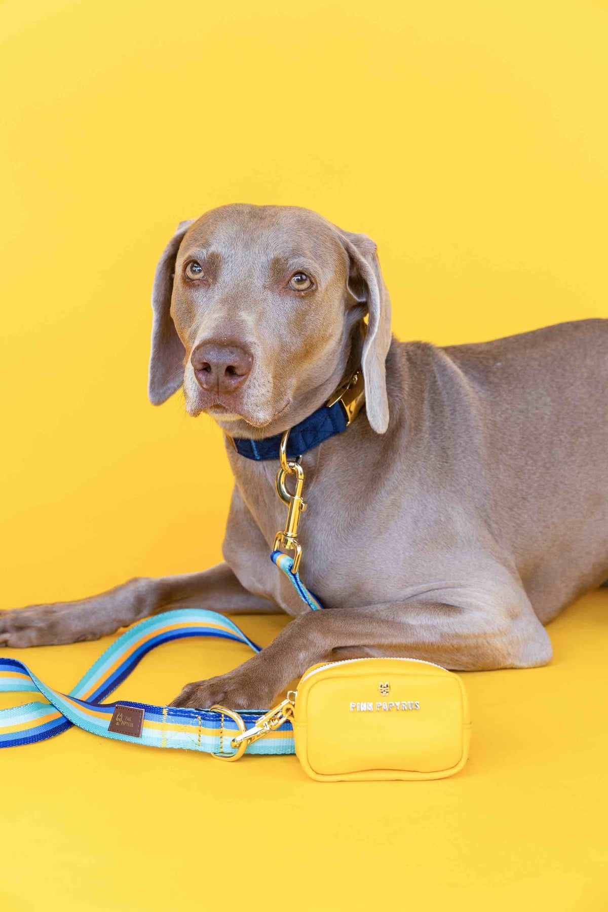 Milo Dog Leash