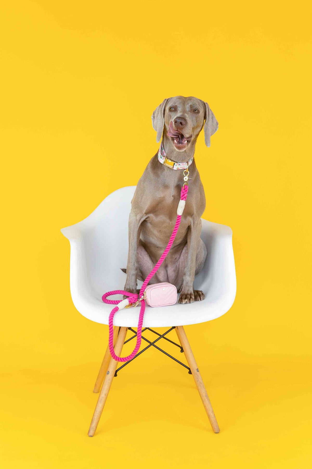 Christine Rope Dog Leash
