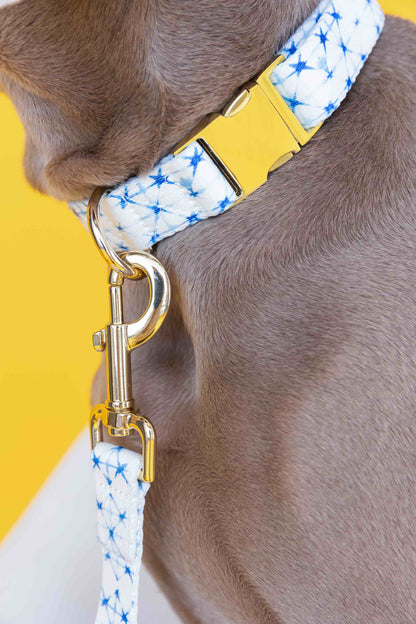 Drew Dog Collar