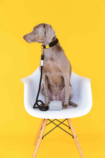 Frankie Waste Bag Holder & Treat Pouch