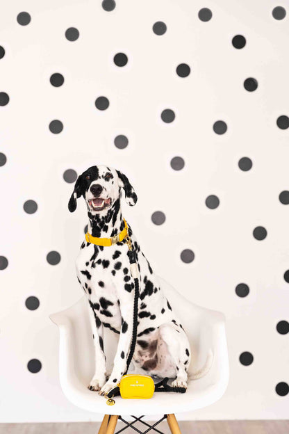 Colie Waste Bag Holder & Treat Pouch