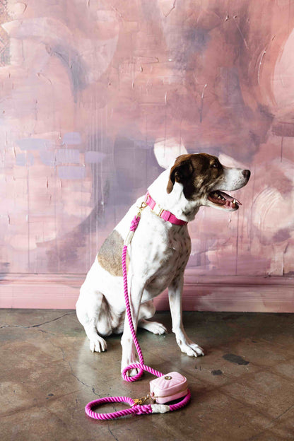 Christine Rope Dog Leash