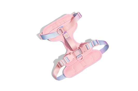 Diem Dog Harness