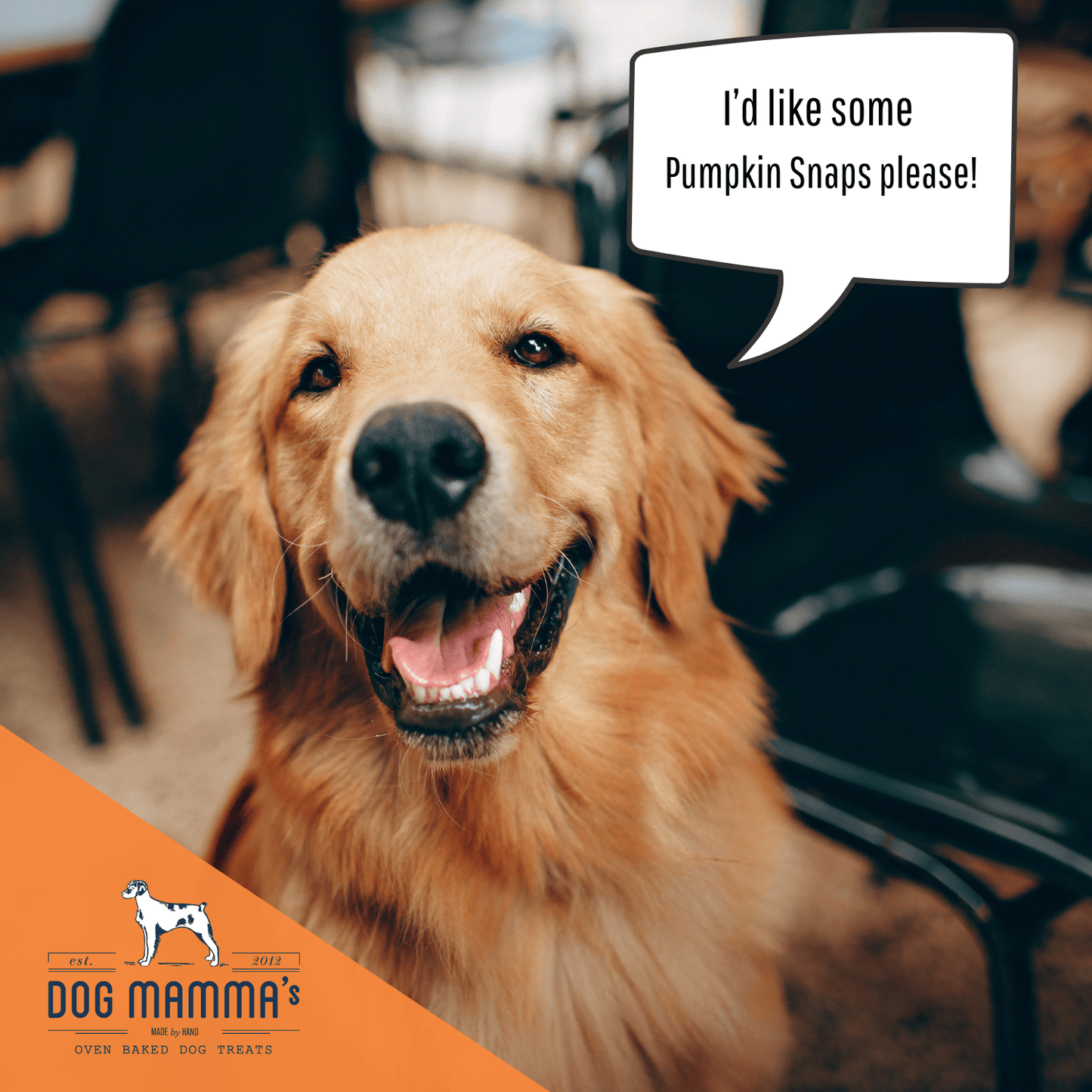 Dog Mamma's Organic Pumpkin Snaps Recipe- USDA Organic Certified Dog Treats