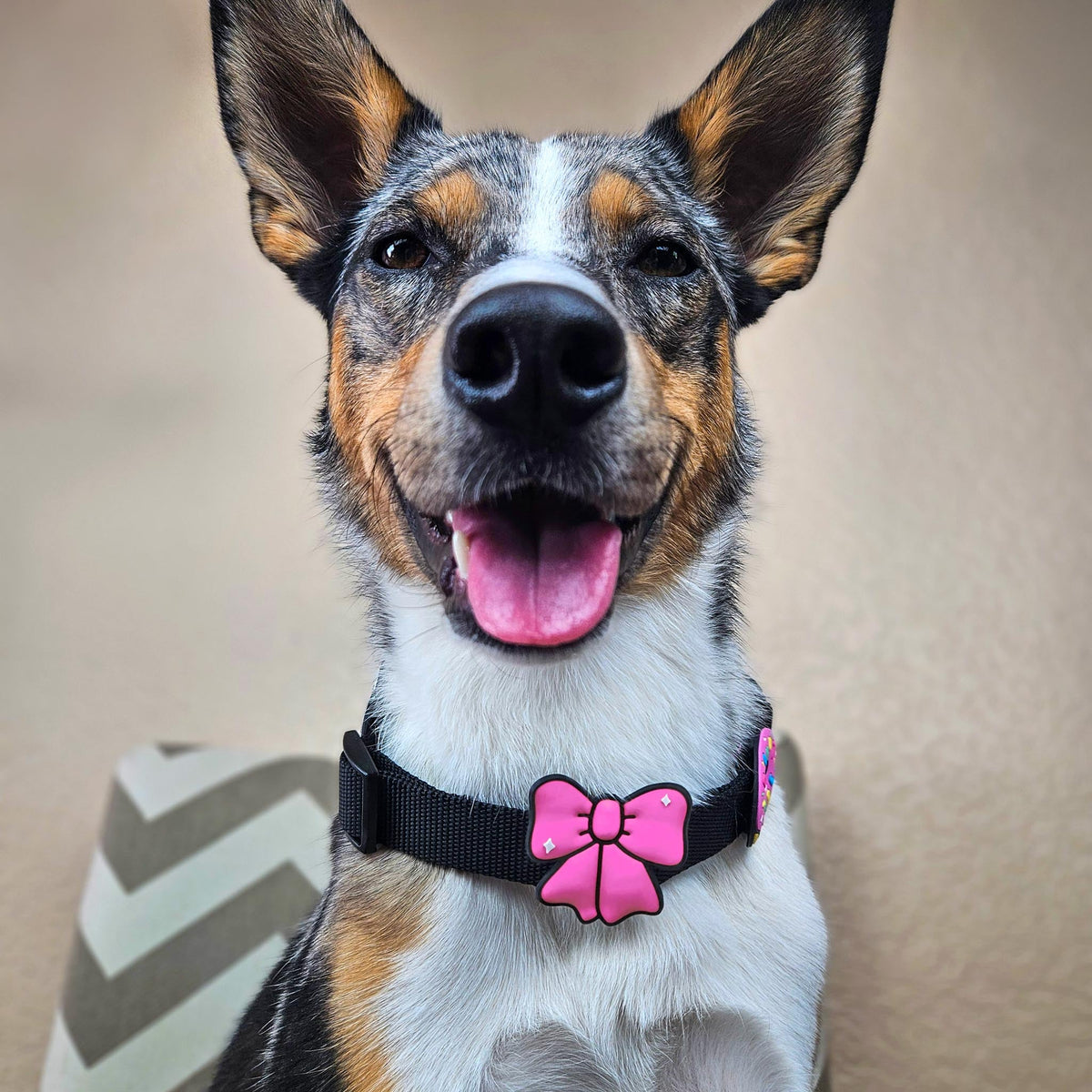 Ribbon Pink Jiby Dog Charm