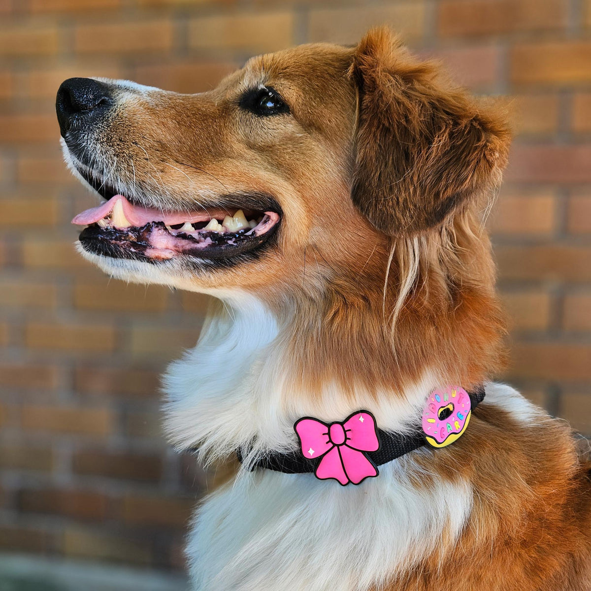 Ribbon Pink Jiby Dog Charm