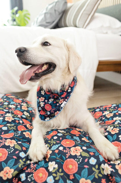 Riley Dog Bed
