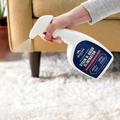 Rocco & Roxie Pet Stain & Odor Eliminator 32oz Enzyme Carpet Cleaner Spray