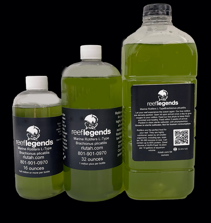 13 Species PhytoBlend & Rotifers