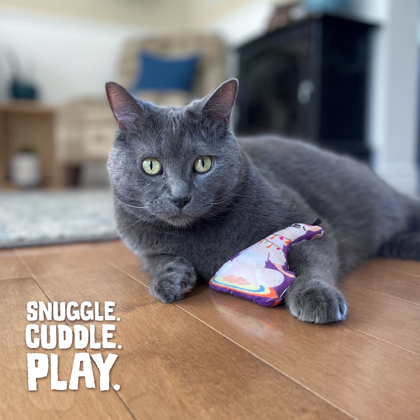 Kitty LLamaste with Catnip