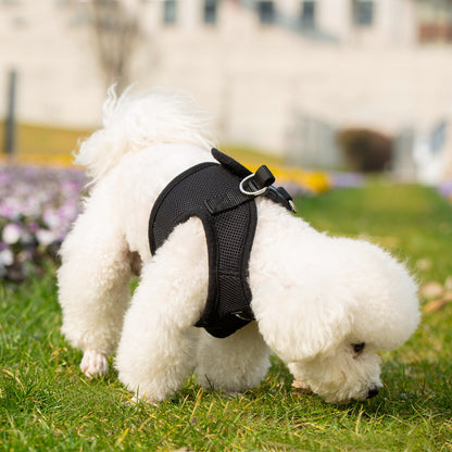 Mr. Peanut's PupTrek Soft Mesh Pet Harness with Matching Leash – Adjustable, Breathable, Choke-Free