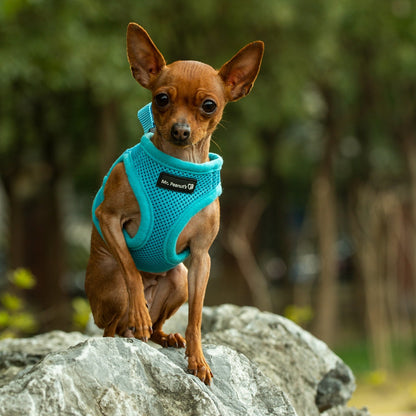Mr. Peanut's PupTrek Soft Mesh Pet Harness with Matching Leash – Adjustable, Breathable, Choke-Free