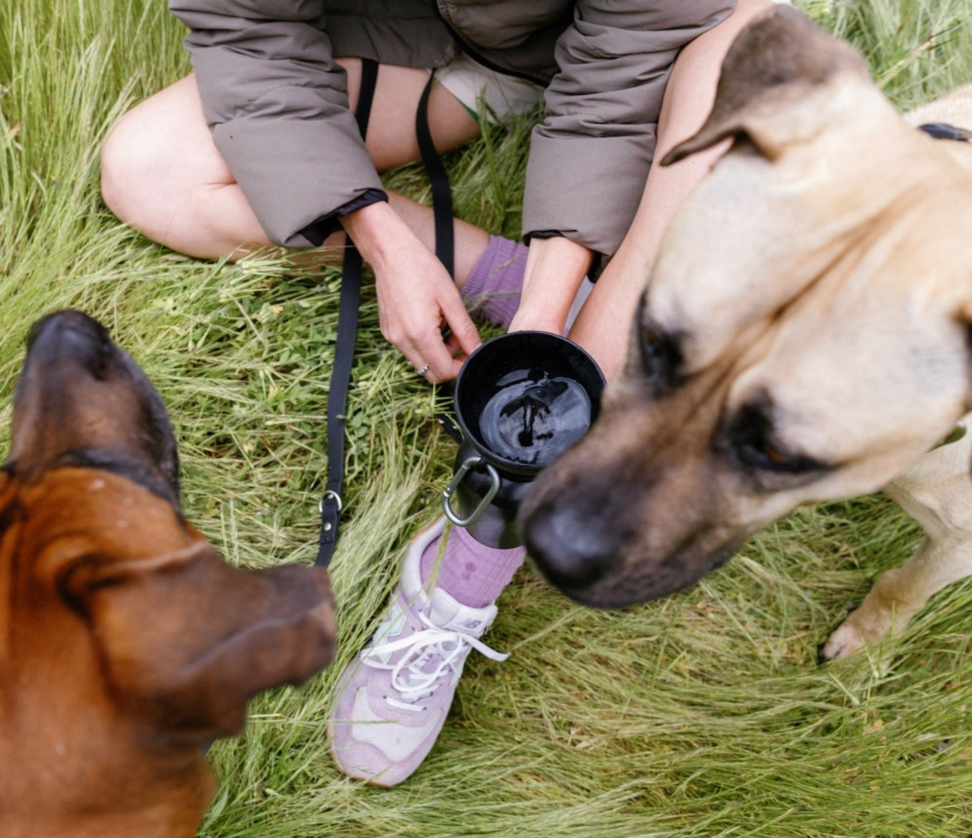 20oz Flip Dog Travel Water Bottle