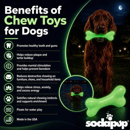 PUP-X Rubber Glow in the Dark Chew Bone Dog Toy - Durable, Floats, Chew Toy for Large Dogs | USA