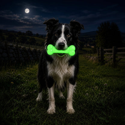 PUP-X Rubber Glow in the Dark Chew Bone Dog Toy - Durable, Floats, Chew Toy for Large Dogs | USA