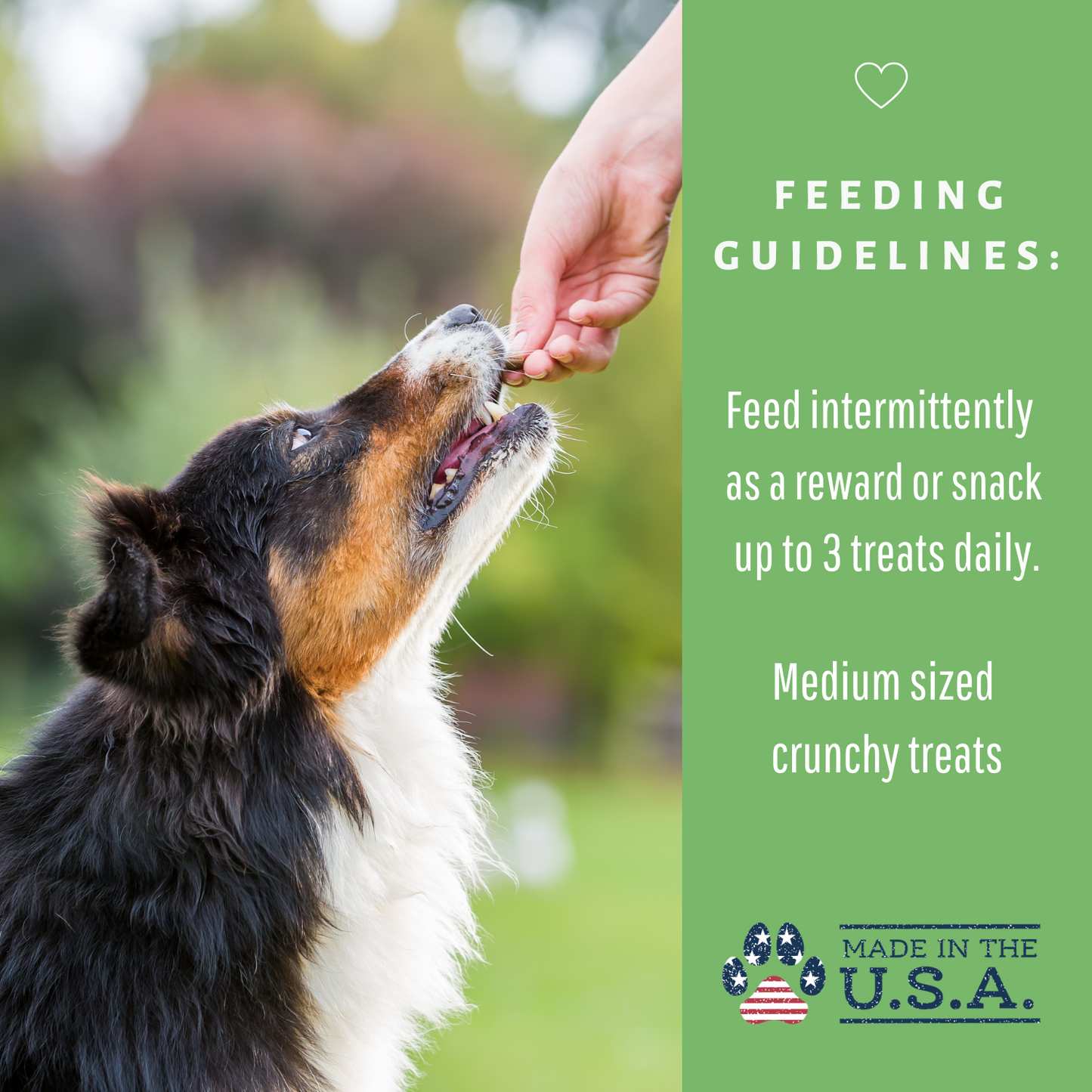 Dog Mamma's Organic Sweet Potato & Kale Recipe - USDA Organic Certified Dog Treats