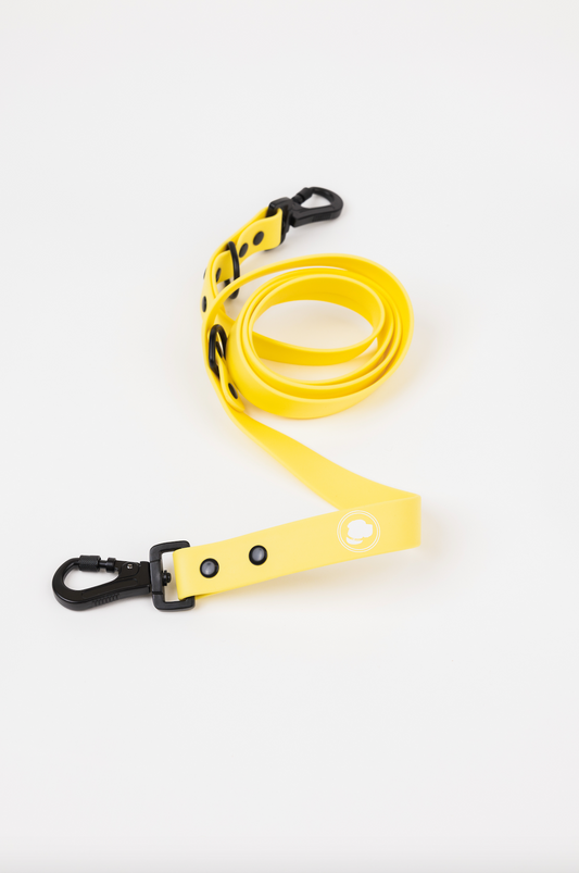 The Modern Dog Company - Daffodil Yellow Adjustable Leash