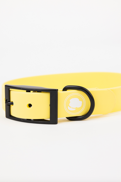 The Modern Dog Company - Daffodil Yellow Collar (Weather + Odor Resistant)