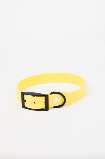 The Modern Dog Company - Daffodil Yellow Collar (Weather + Odor Resistant)