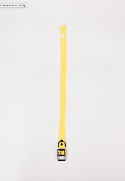 The Modern Dog Company - Daffodil Yellow Collar (Weather + Odor Resistant)