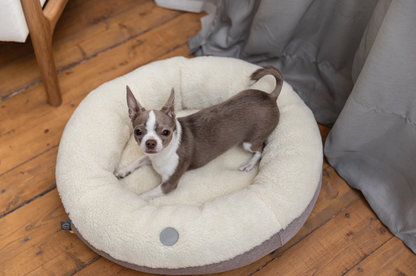 Furry Beige Donut Dog Bed