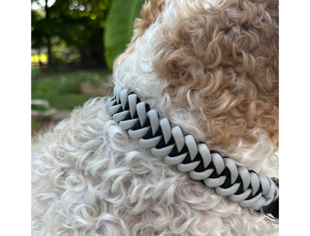 Fishtail Hand Braided Dog Collar in Black & Smoke