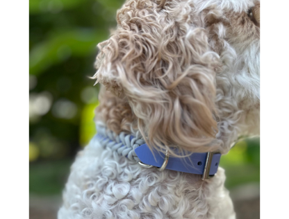 Fishtail Hand Braided Dog Collar in Lavender & Smoke