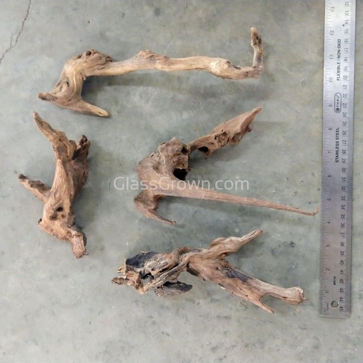 Pacific Driftwood Medium (6"+)