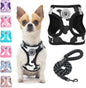 Step-In Dog Harness & Leash Set in Various Patterns – Reflective No Pull (XS- XL)