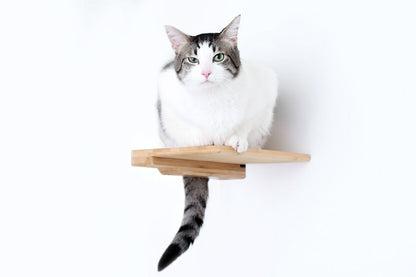 Cat Climbing Shelf