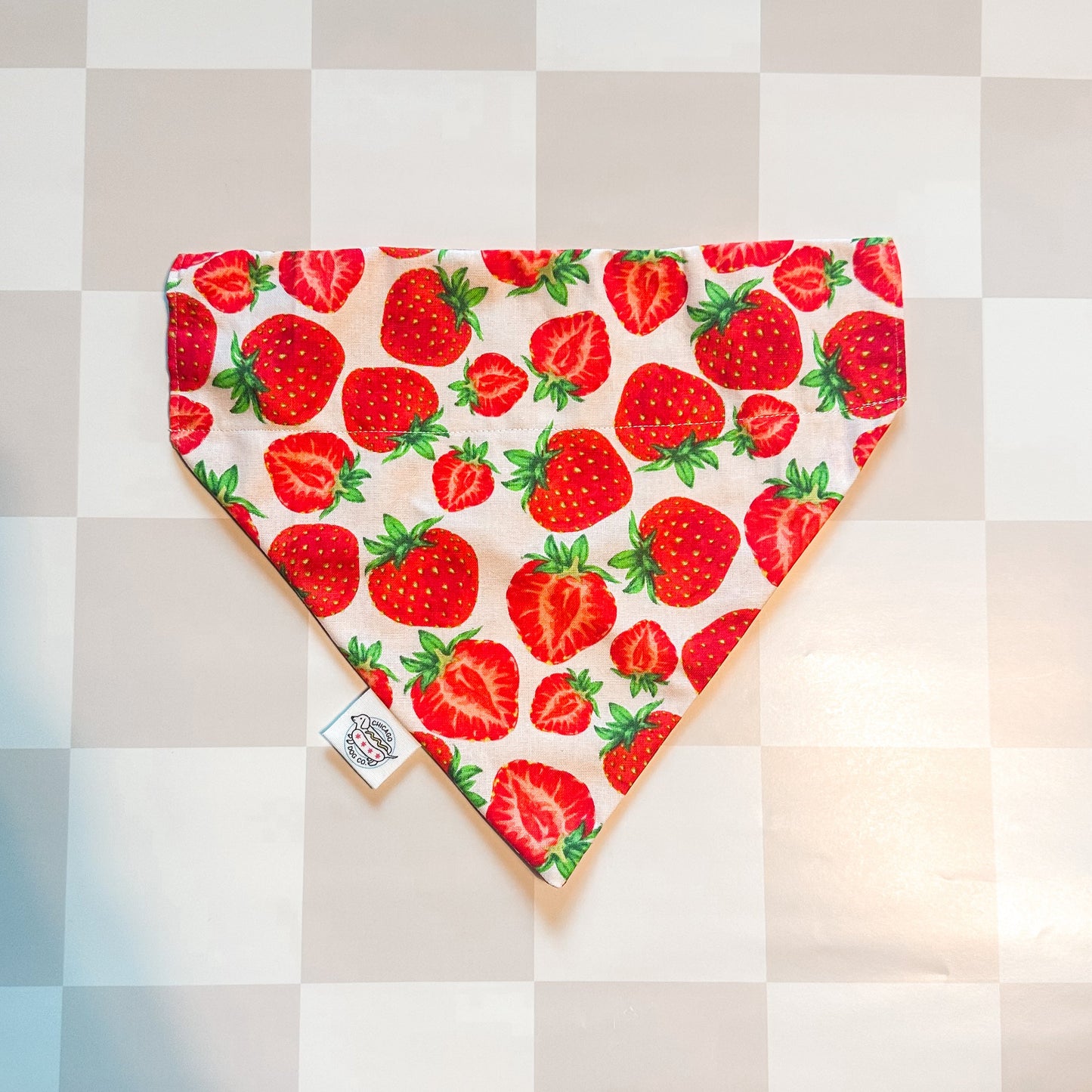 Strawberry Picnic Spring Reversible Bandana