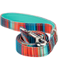 Stripe Dog Leash by EcoBark - Multicolor Padded Comfort Grip Leash - 4ft, 5ft, and 6ft Leash for Small and Medium Dogs