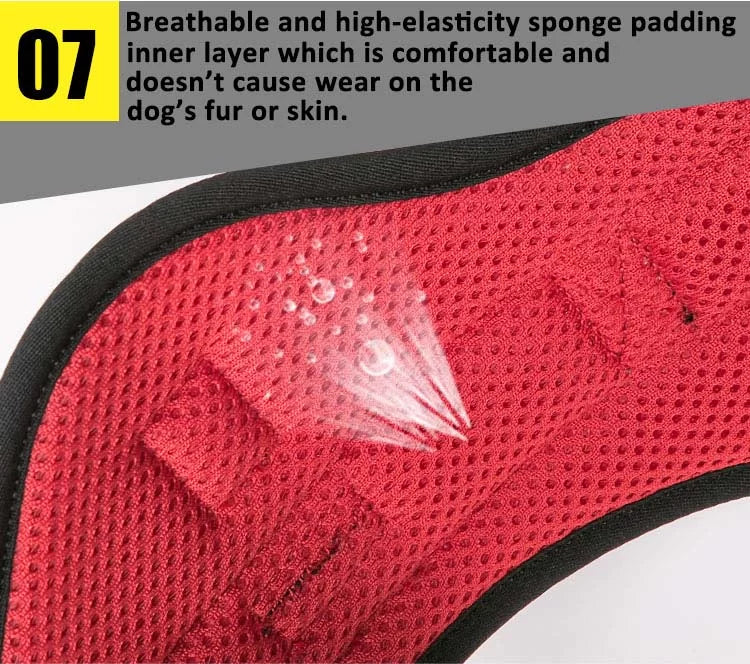 TrueLove Outdoor Adventure Dog Harness  Model Number: TLH5753