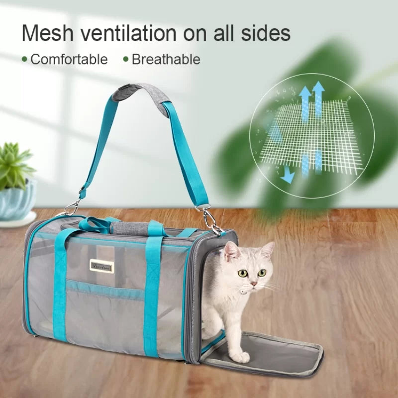 TrueLove Pet Carrier TLX2071