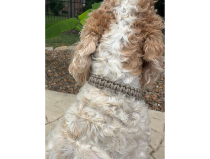 Cobra Braid in Tan - Handmade Dog Collar