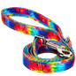 Tie Dye Dog Leash by EcoBark - Padded Comfort Grip Leash - 4ft, 5ft, and 6ft Leash for Small and Medium Dogs