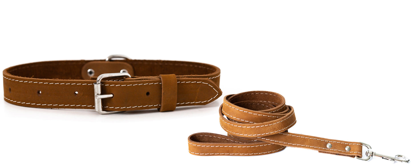 Pro Line Hunting Leather Collar and Leash Set