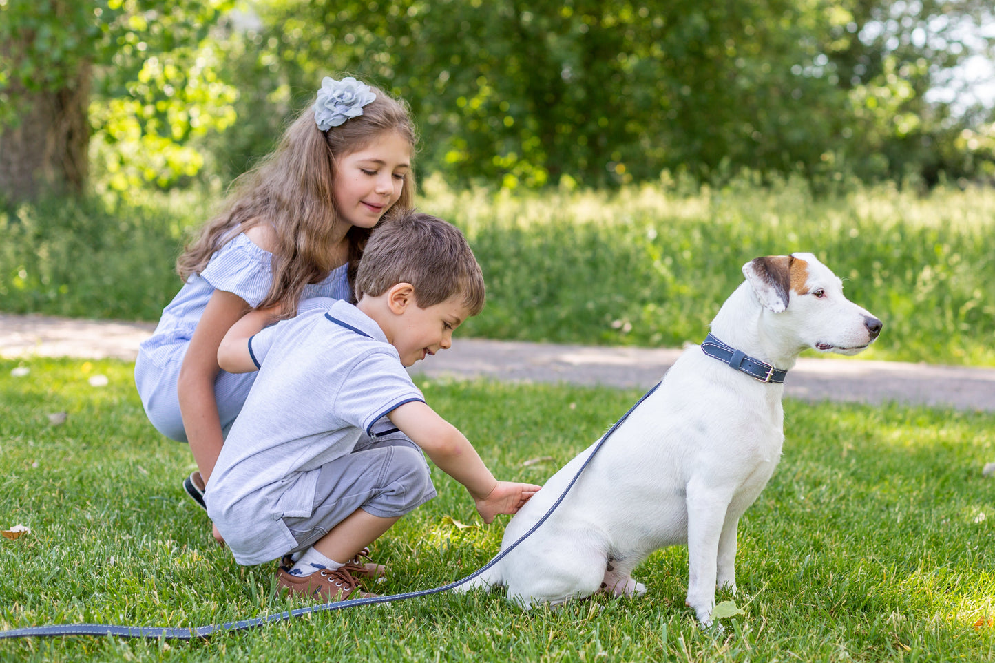 Pro Line Hunting Leather Collar and Leash Set